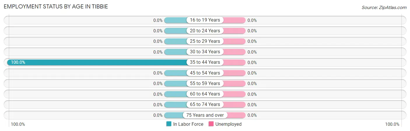 Employment Status by Age in Tibbie