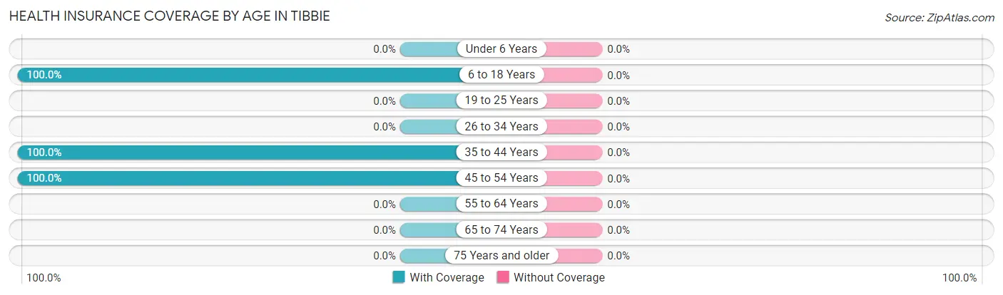 Health Insurance Coverage by Age in Tibbie