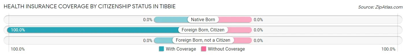 Health Insurance Coverage by Citizenship Status in Tibbie