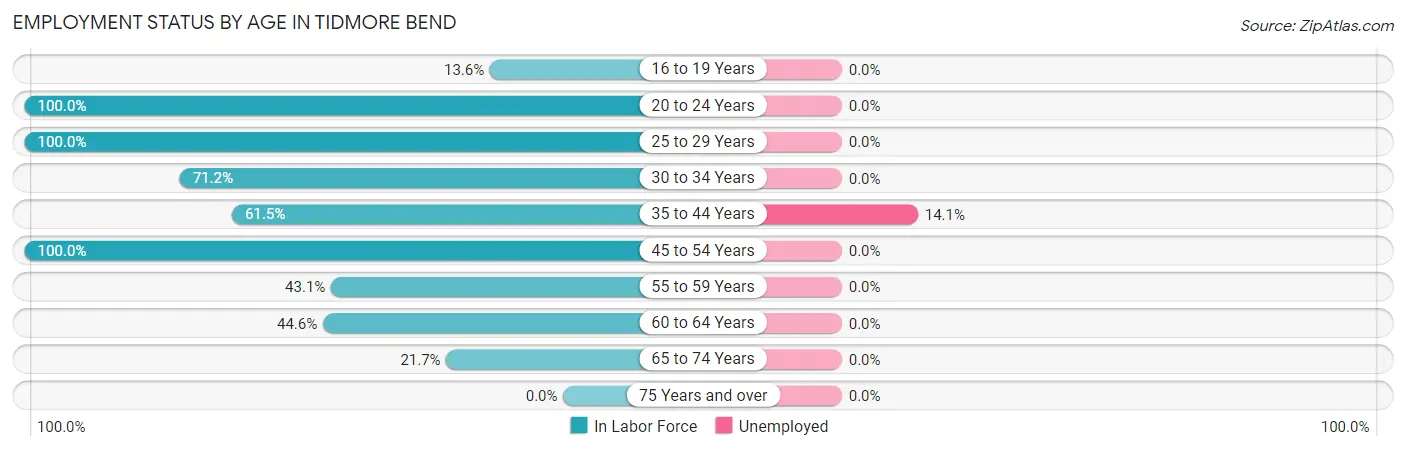 Employment Status by Age in Tidmore Bend