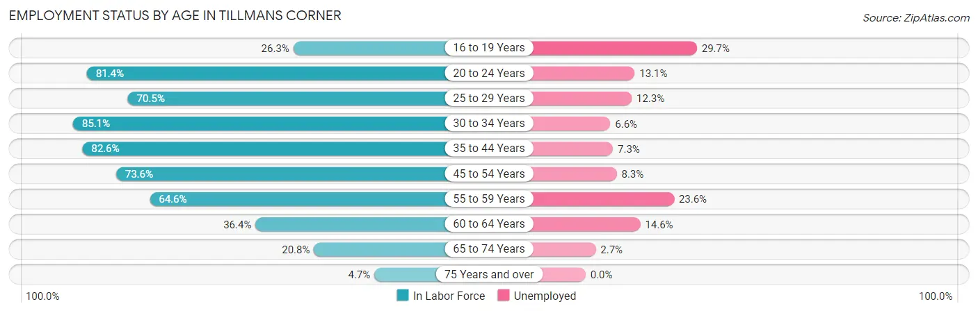 Employment Status by Age in Tillmans Corner