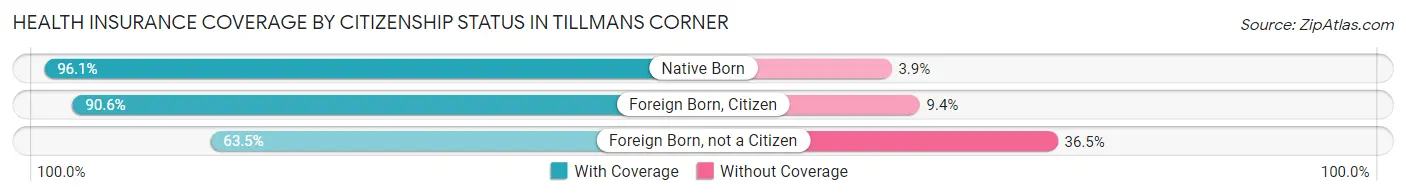 Health Insurance Coverage by Citizenship Status in Tillmans Corner