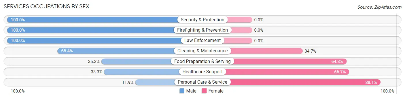 Services Occupations by Sex in Tillmans Corner