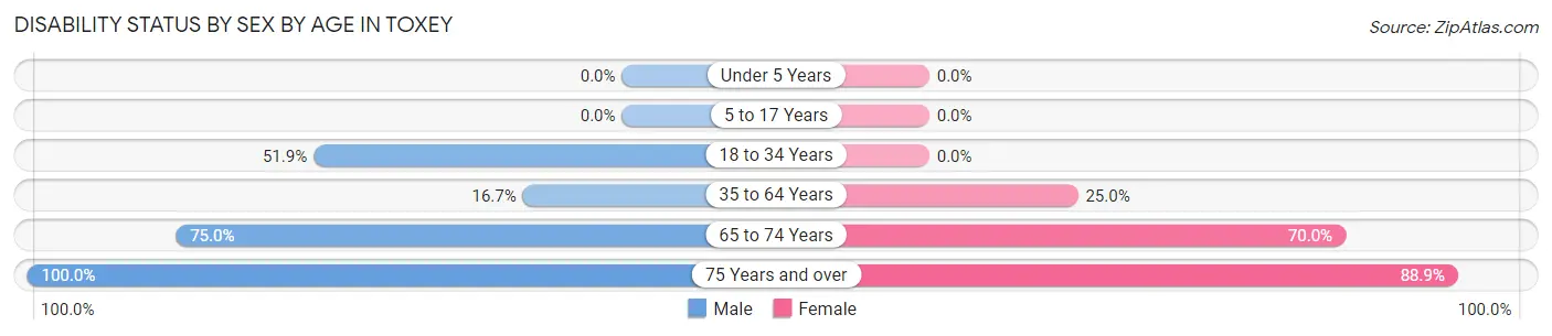 Disability Status by Sex by Age in Toxey