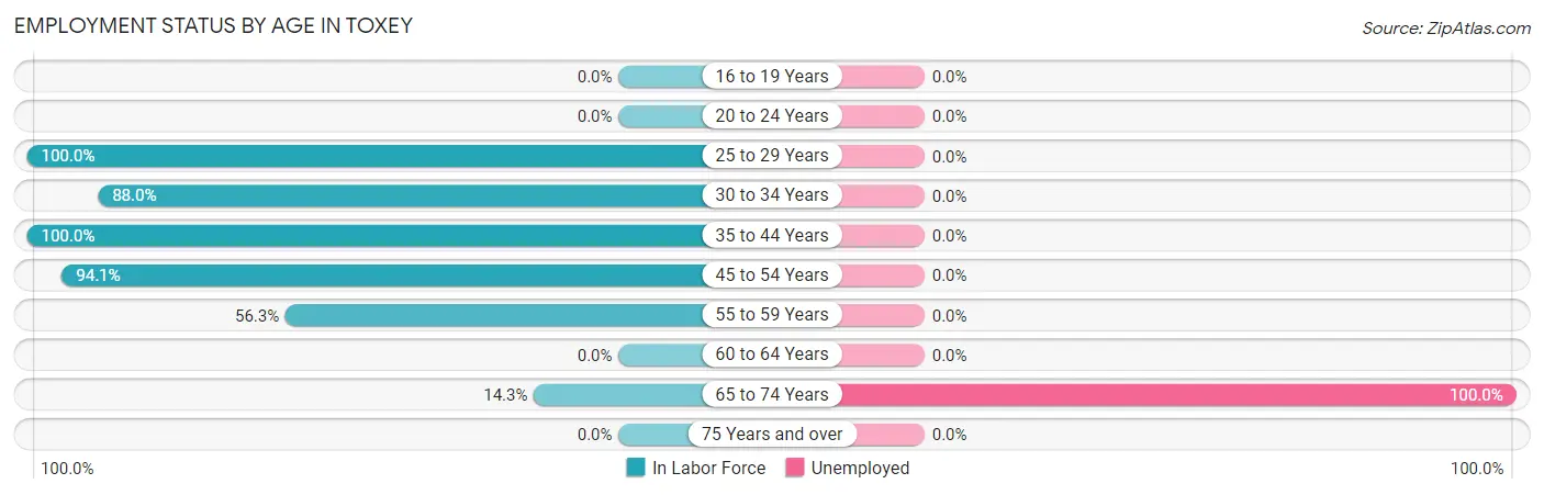 Employment Status by Age in Toxey