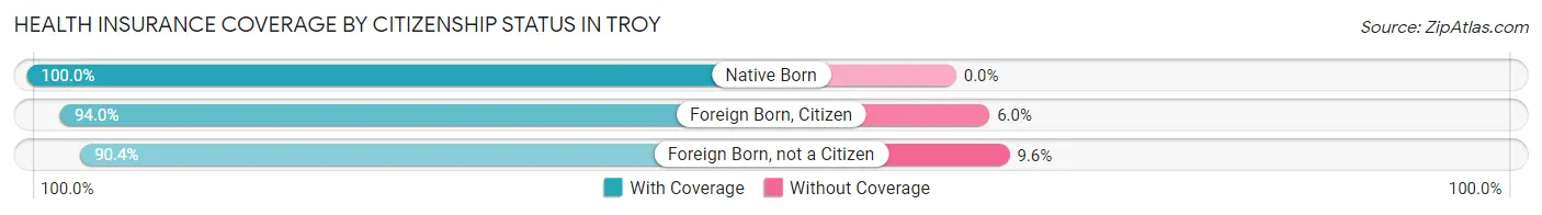 Health Insurance Coverage by Citizenship Status in Troy