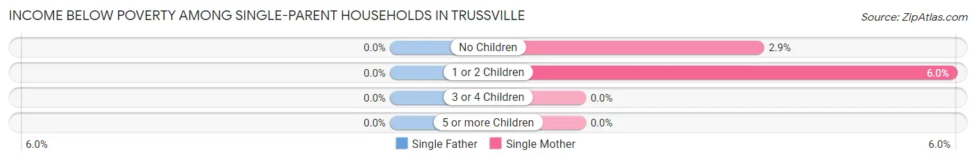 Income Below Poverty Among Single-Parent Households in Trussville