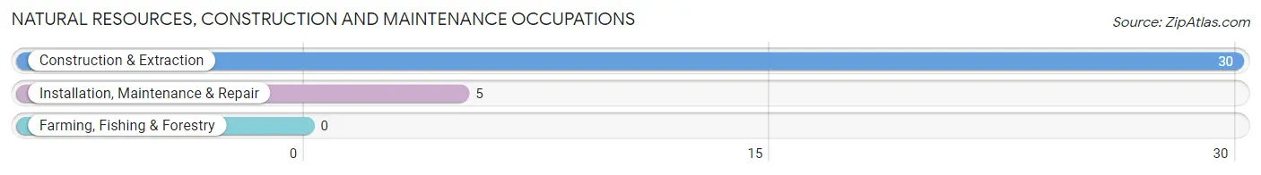 Natural Resources, Construction and Maintenance Occupations in Tuskegee