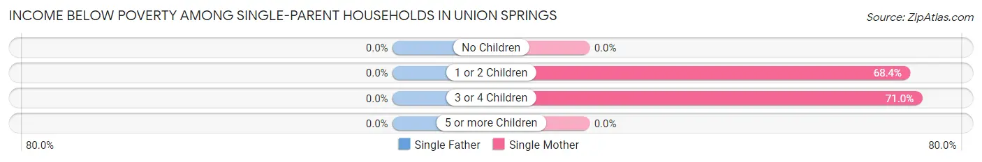 Income Below Poverty Among Single-Parent Households in Union Springs