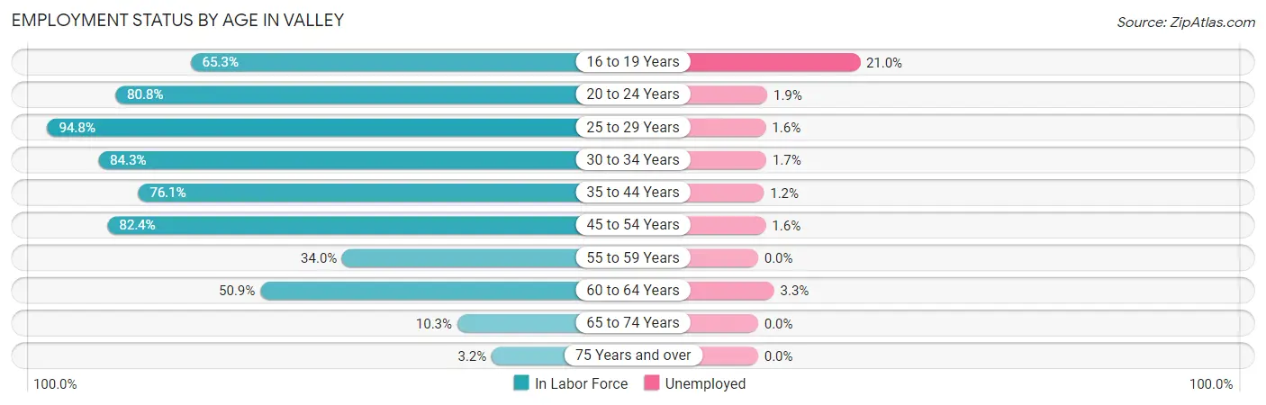 Employment Status by Age in Valley
