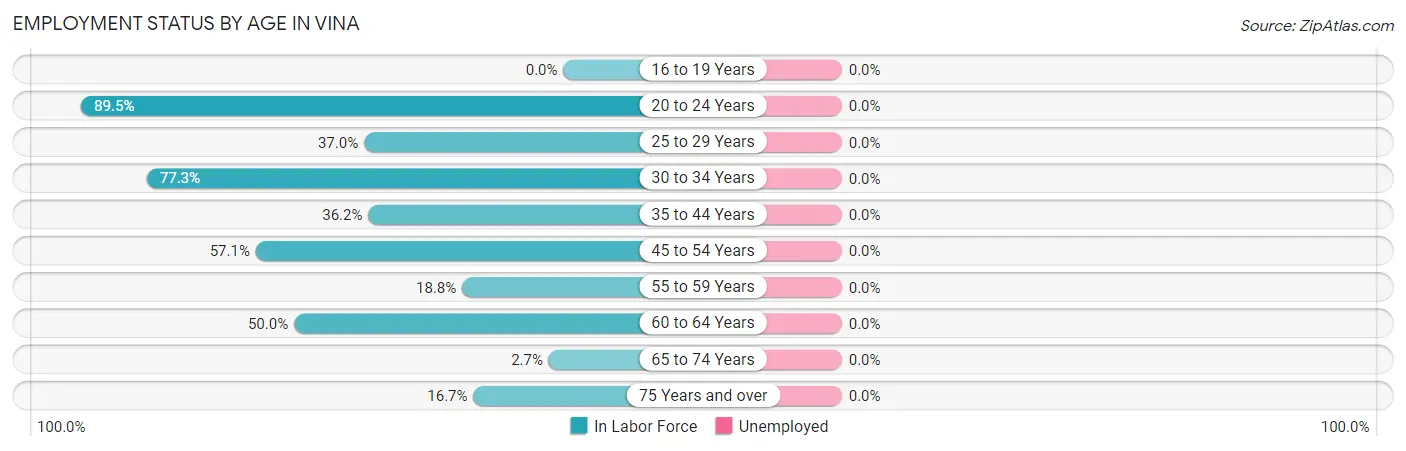 Employment Status by Age in Vina