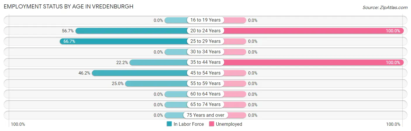 Employment Status by Age in Vredenburgh