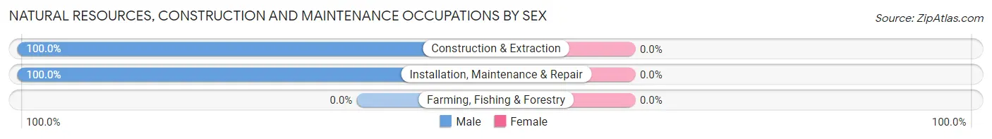 Natural Resources, Construction and Maintenance Occupations by Sex in Warrior