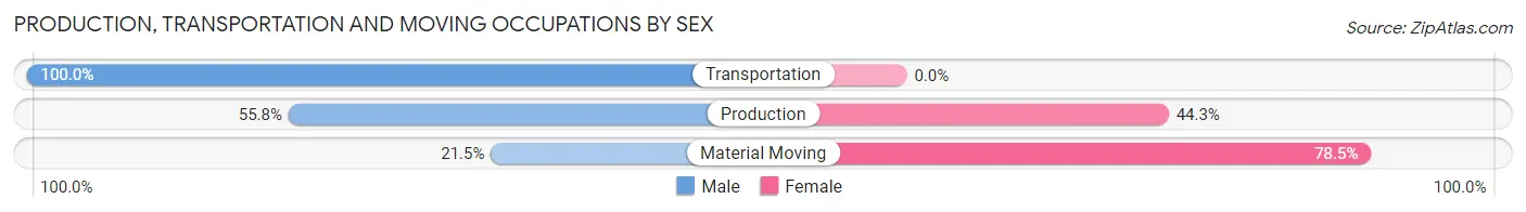 Production, Transportation and Moving Occupations by Sex in Wetumpka