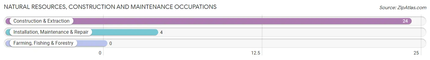 Natural Resources, Construction and Maintenance Occupations in Wilton