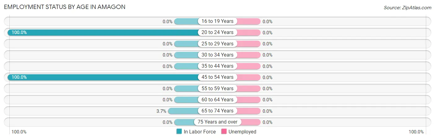 Employment Status by Age in Amagon