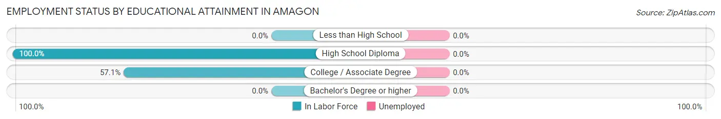 Employment Status by Educational Attainment in Amagon
