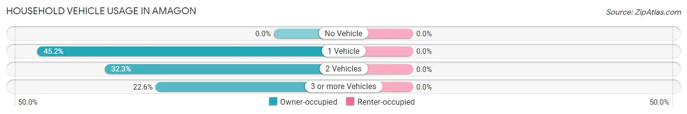 Household Vehicle Usage in Amagon