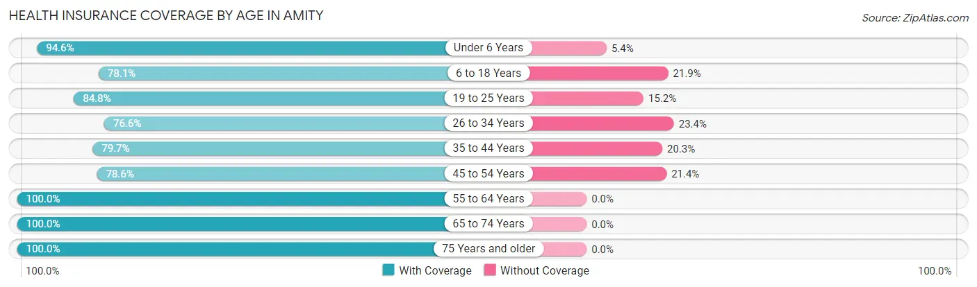 Health Insurance Coverage by Age in Amity