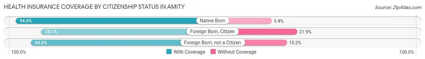 Health Insurance Coverage by Citizenship Status in Amity