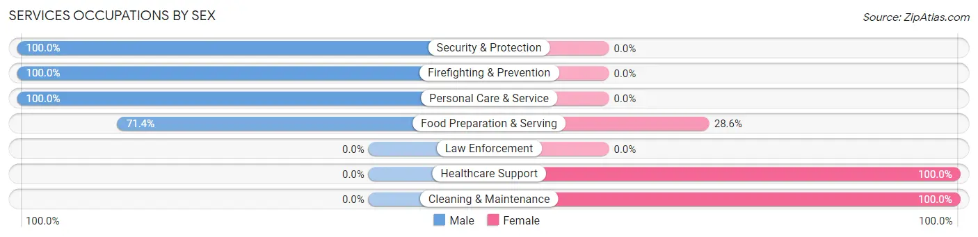 Services Occupations by Sex in Amity