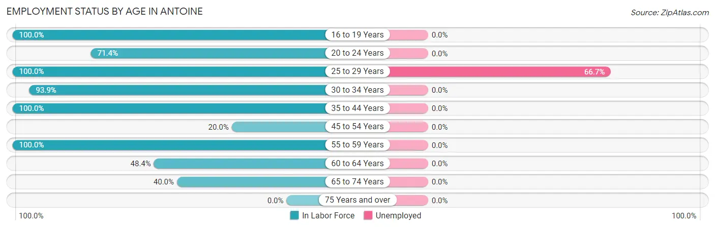 Employment Status by Age in Antoine