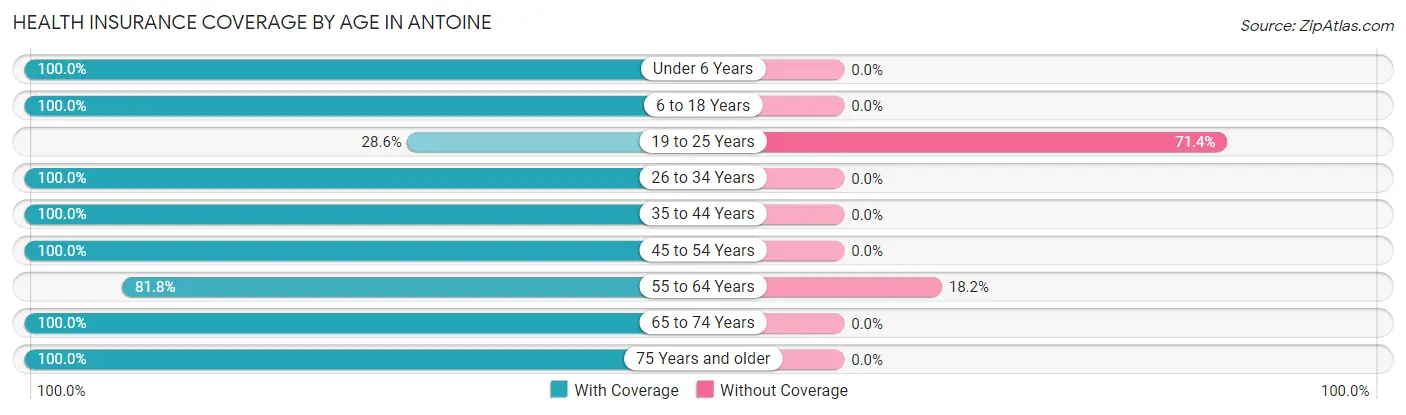 Health Insurance Coverage by Age in Antoine