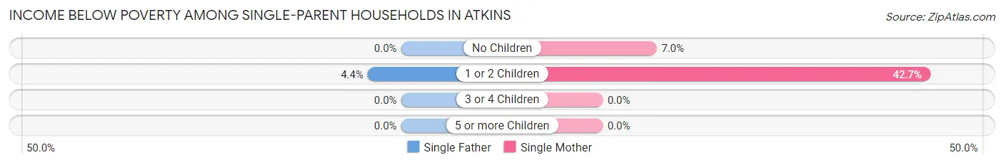 Income Below Poverty Among Single-Parent Households in Atkins