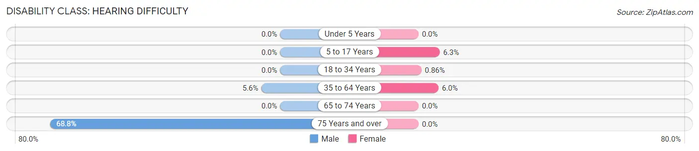 Disability in Austin: <span>Hearing Difficulty</span>