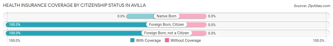 Health Insurance Coverage by Citizenship Status in Avilla