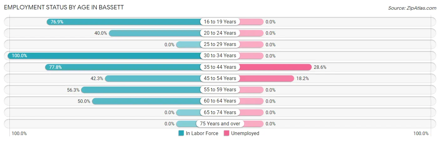 Employment Status by Age in Bassett