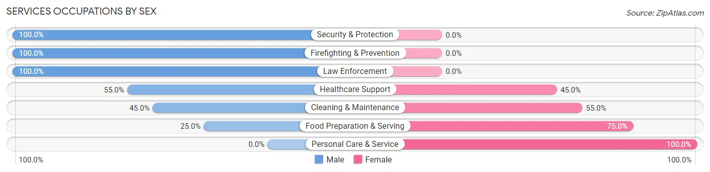 Services Occupations by Sex in Bauxite