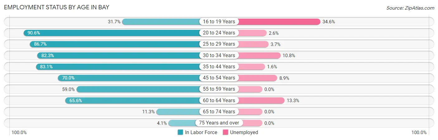 Employment Status by Age in Bay