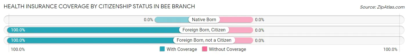 Health Insurance Coverage by Citizenship Status in Bee Branch