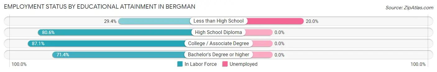 Employment Status by Educational Attainment in Bergman