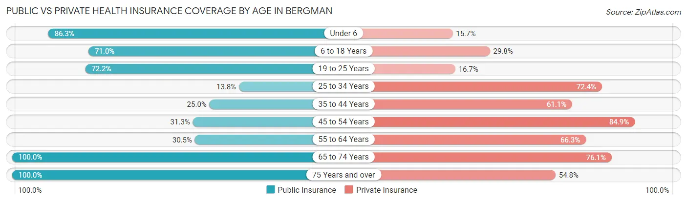 Public vs Private Health Insurance Coverage by Age in Bergman
