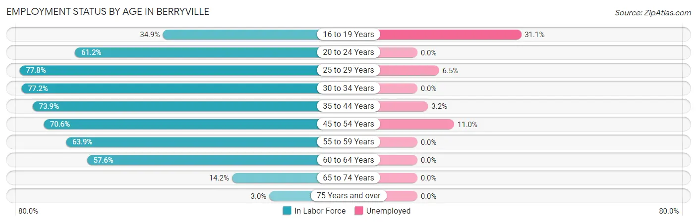 Employment Status by Age in Berryville