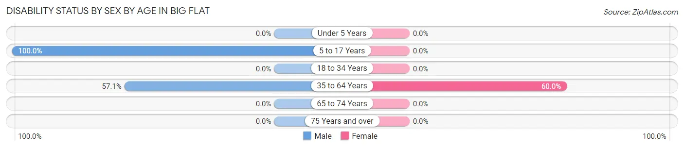 Disability Status by Sex by Age in Big Flat