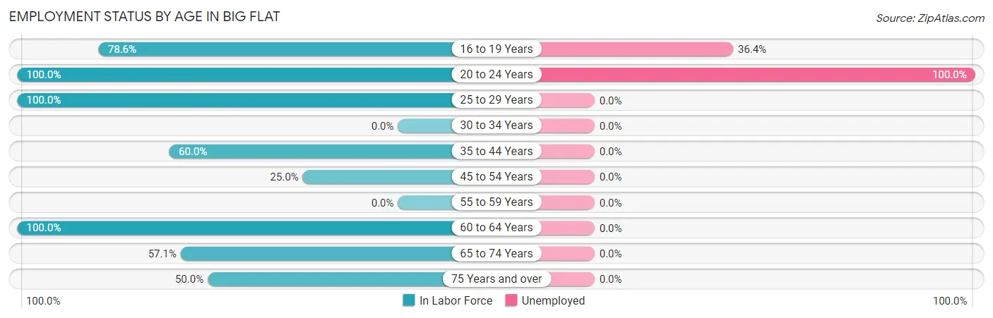 Employment Status by Age in Big Flat