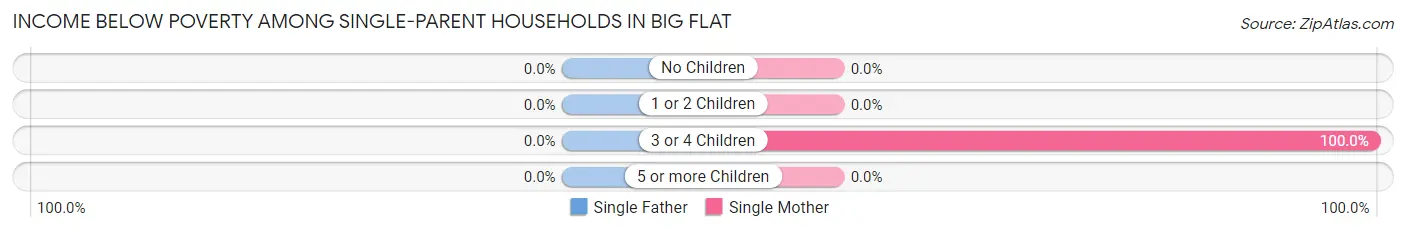 Income Below Poverty Among Single-Parent Households in Big Flat