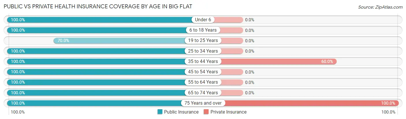 Public vs Private Health Insurance Coverage by Age in Big Flat