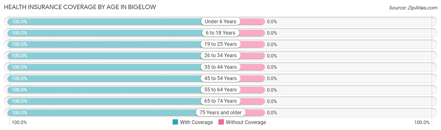Health Insurance Coverage by Age in Bigelow