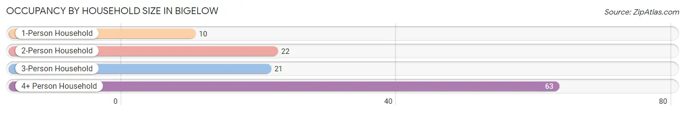 Occupancy by Household Size in Bigelow