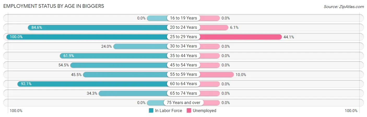 Employment Status by Age in Biggers