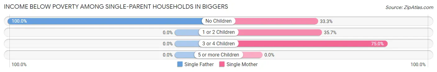 Income Below Poverty Among Single-Parent Households in Biggers
