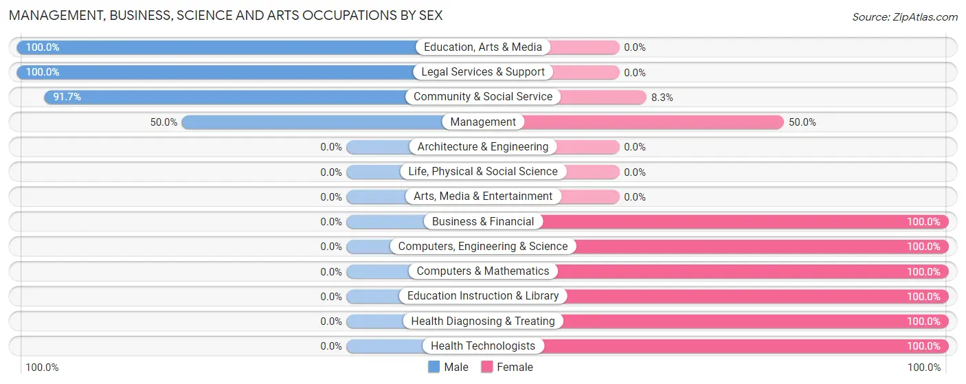 Management, Business, Science and Arts Occupations by Sex in Biggers