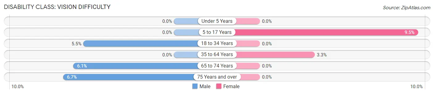 Disability in Biggers: <span>Vision Difficulty</span>