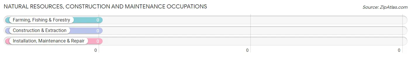 Natural Resources, Construction and Maintenance Occupations in Blue Eye