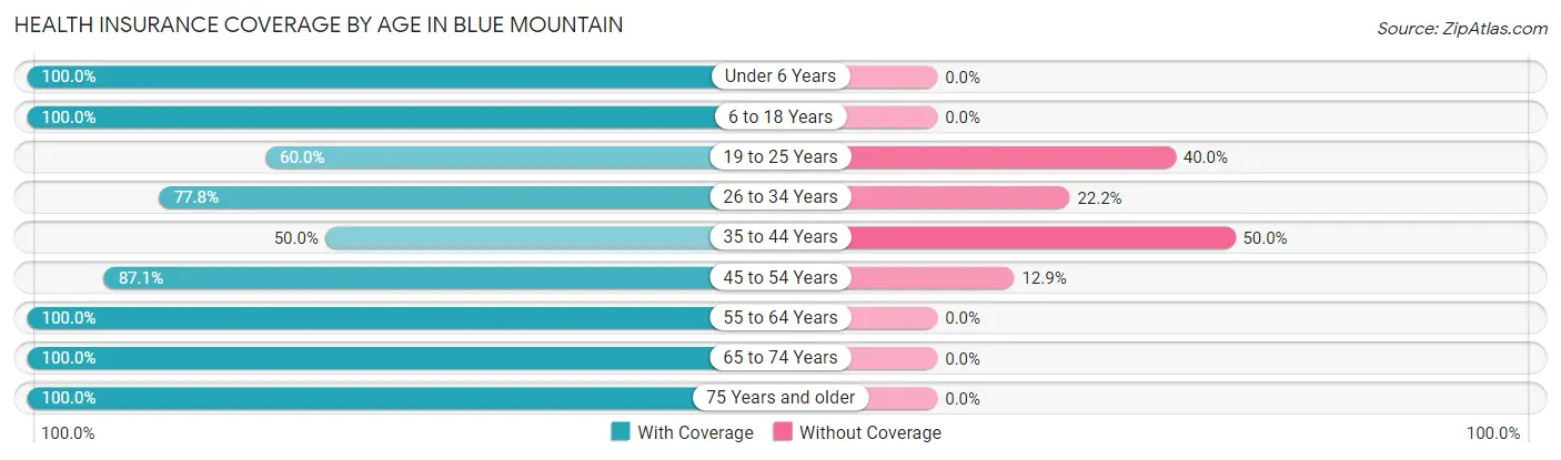 Health Insurance Coverage by Age in Blue Mountain