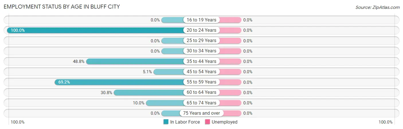 Employment Status by Age in Bluff City